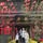 Linh Dan Vuong